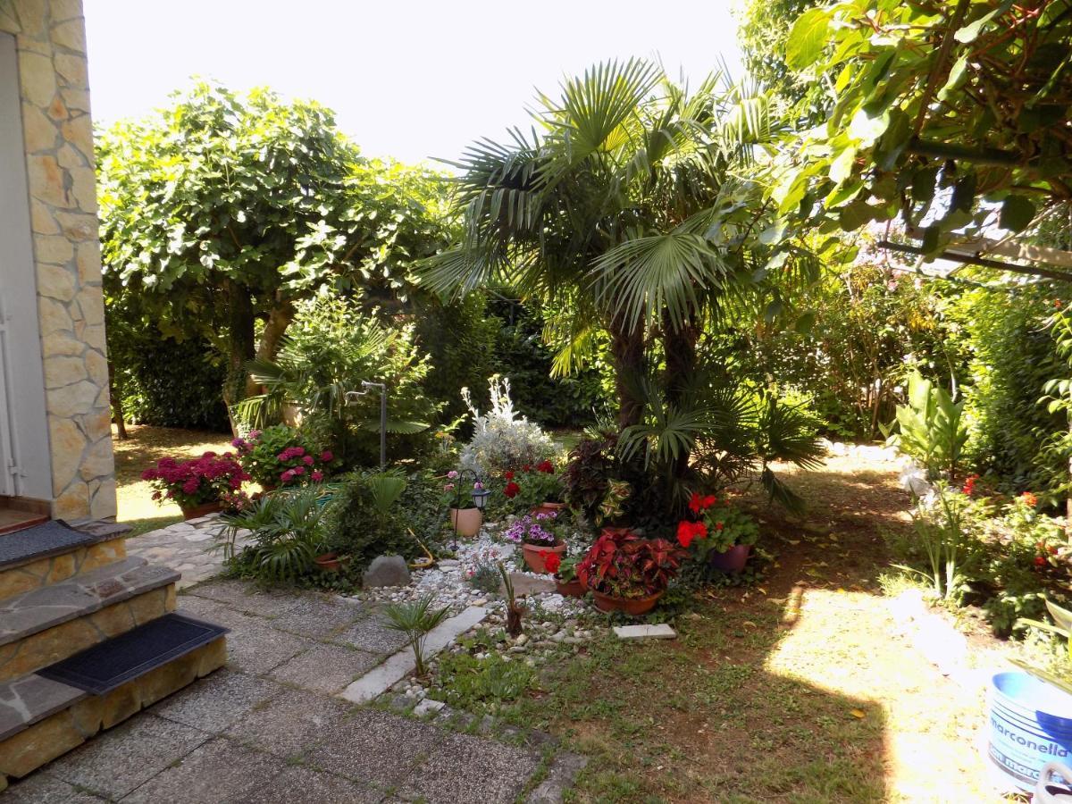 Oriella Apartmans And Room Novigrad Istria Kültér fotó